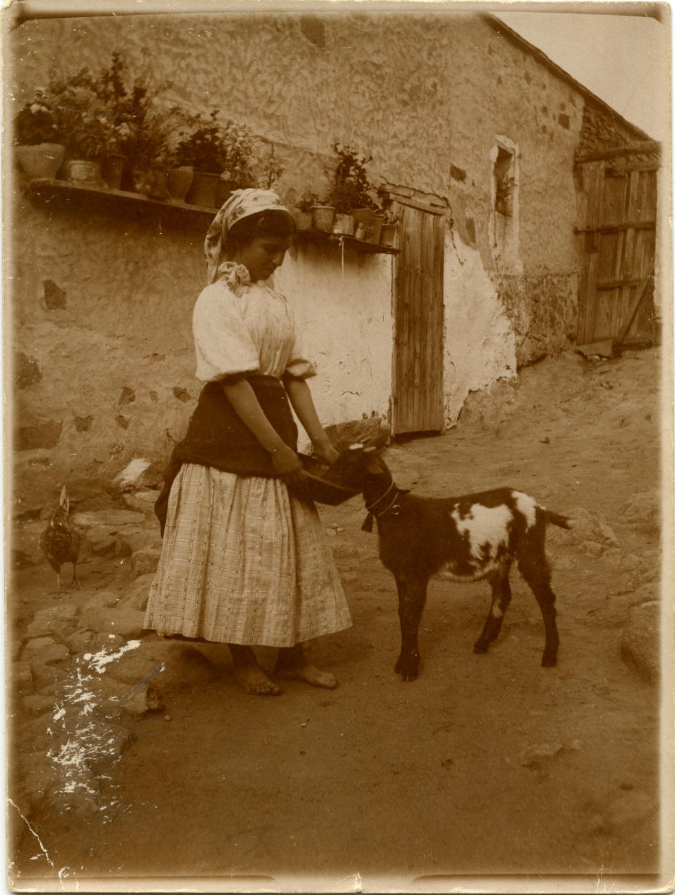 p.-Mujer joven alimentando a un cabritillo