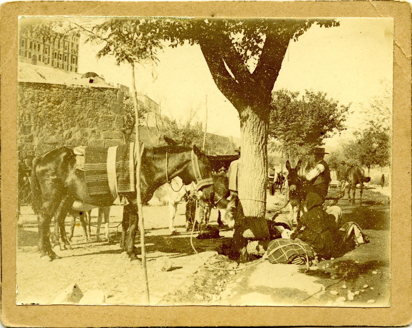 q.-Feria de Toledo