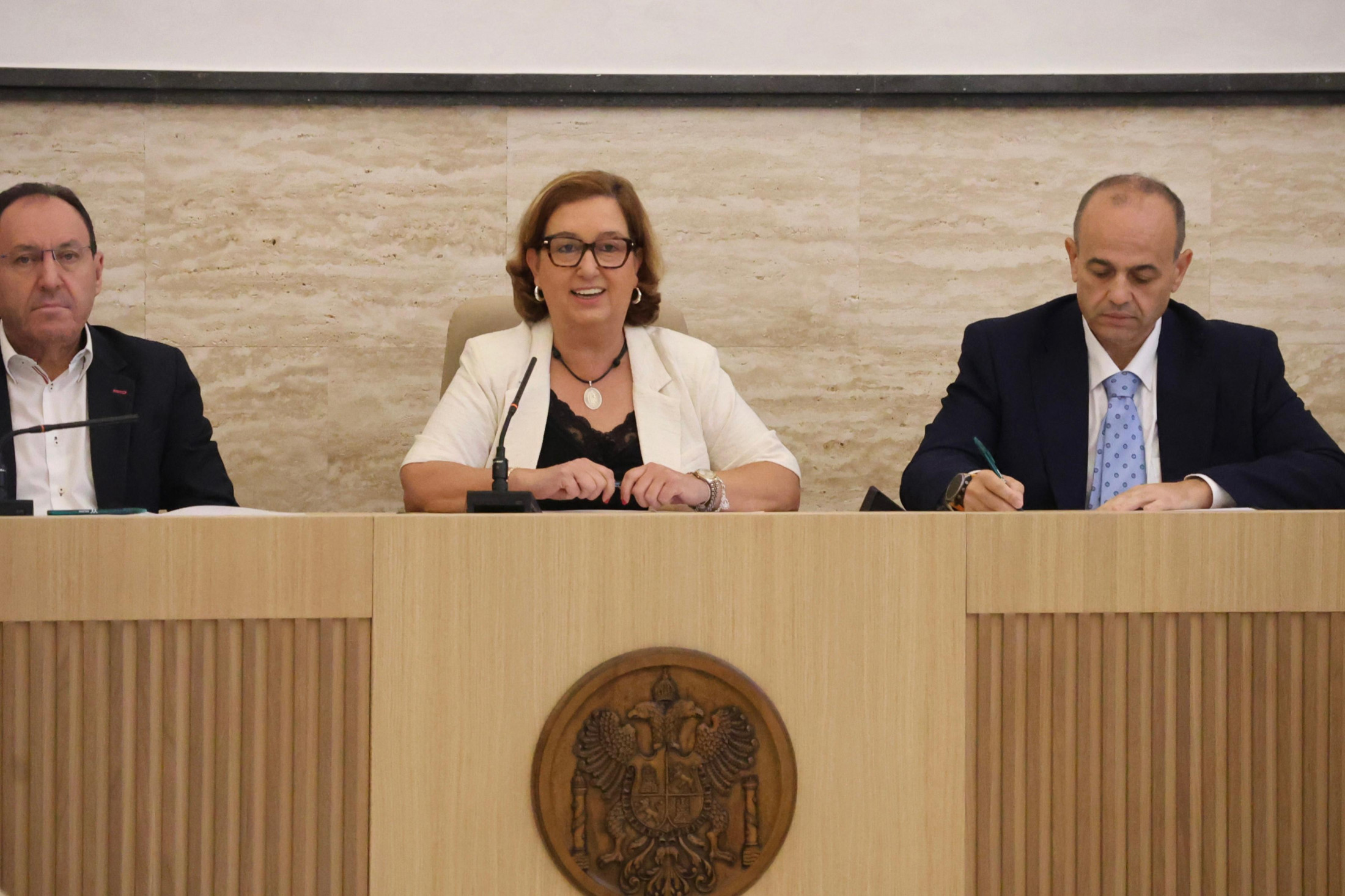 La presidenta en la sesión plenaria