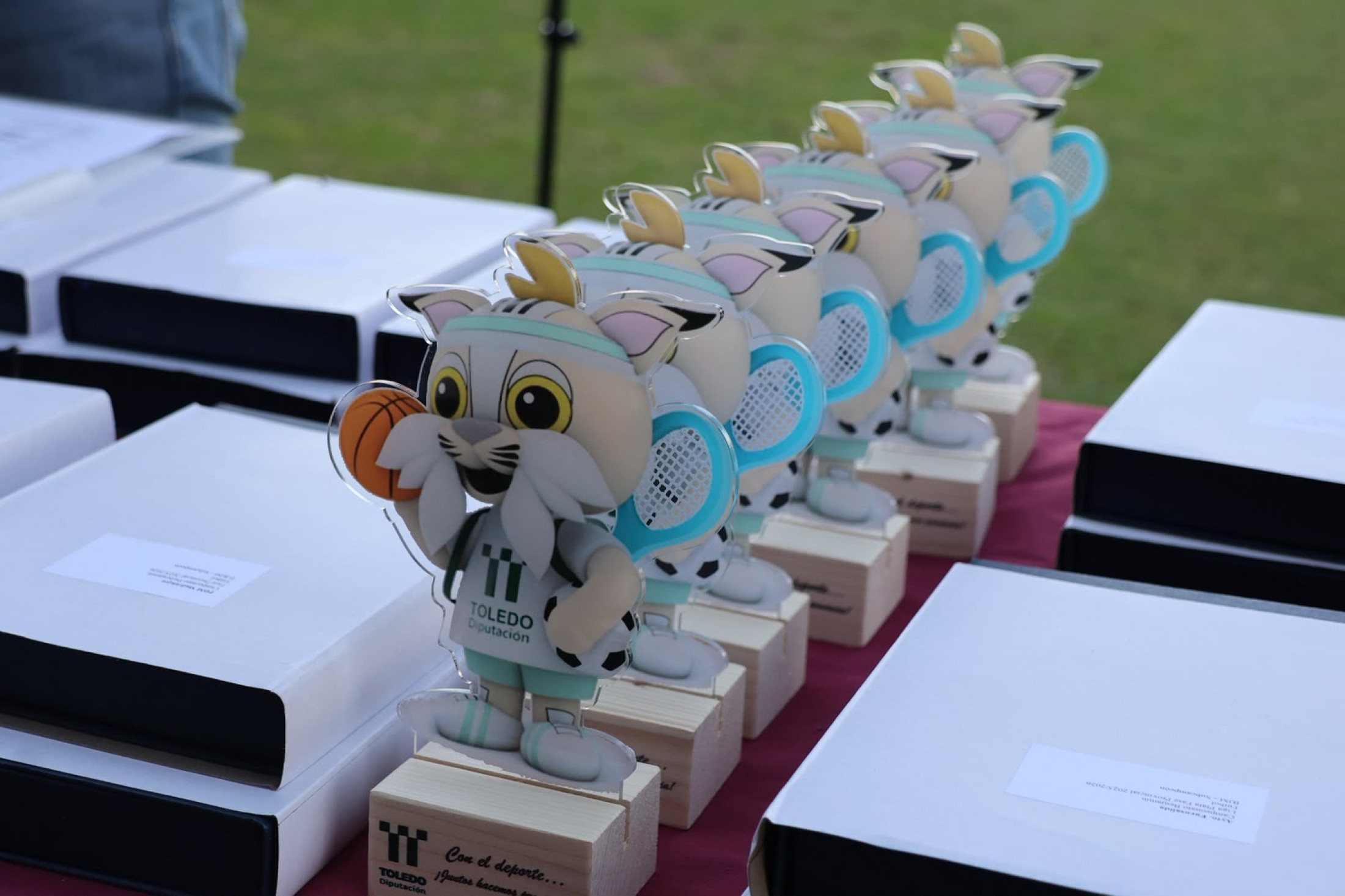 Gala de entrega de premios provinciales del deporte base