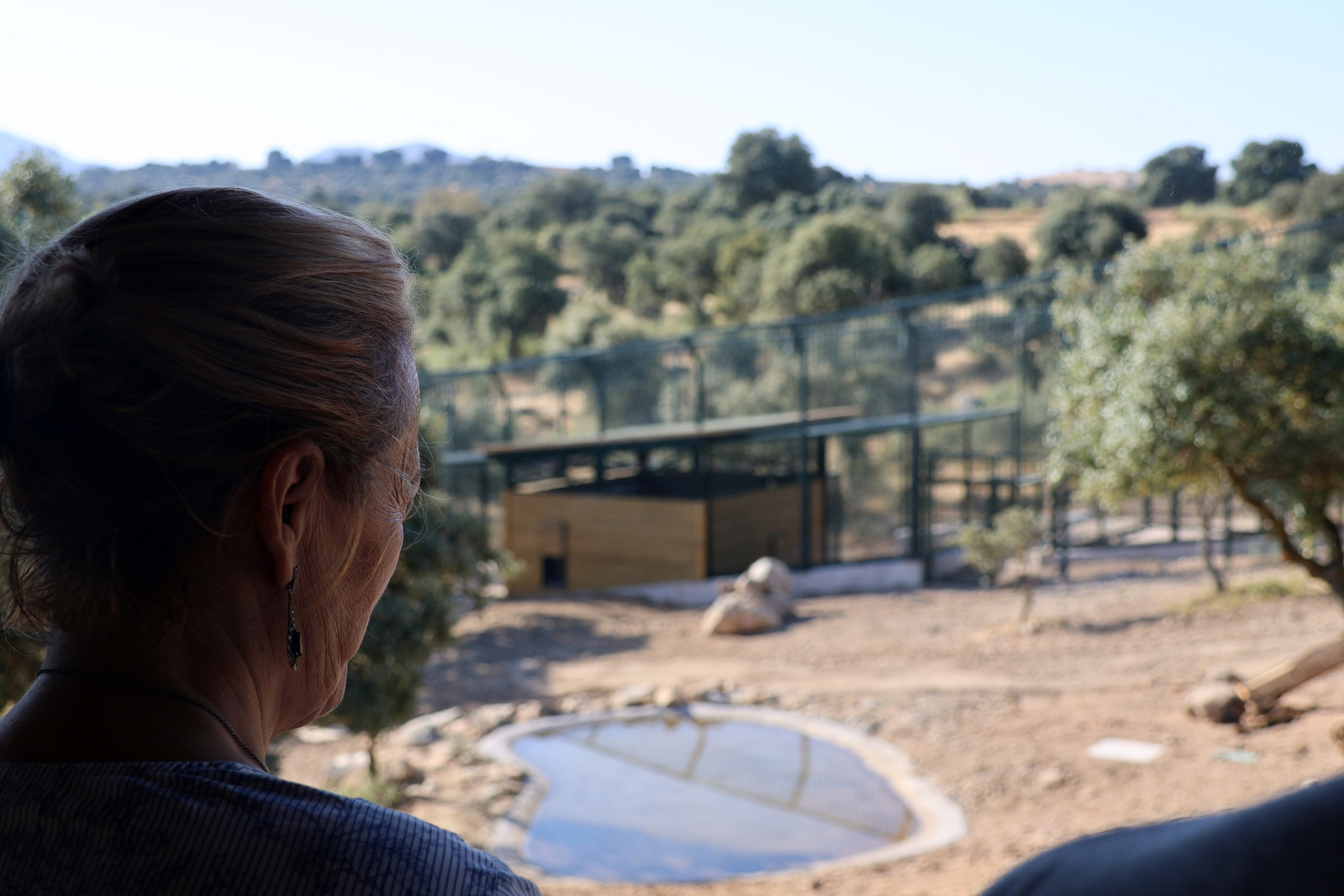 10092026 Marina García recepción habitat del lince en El Borril 1