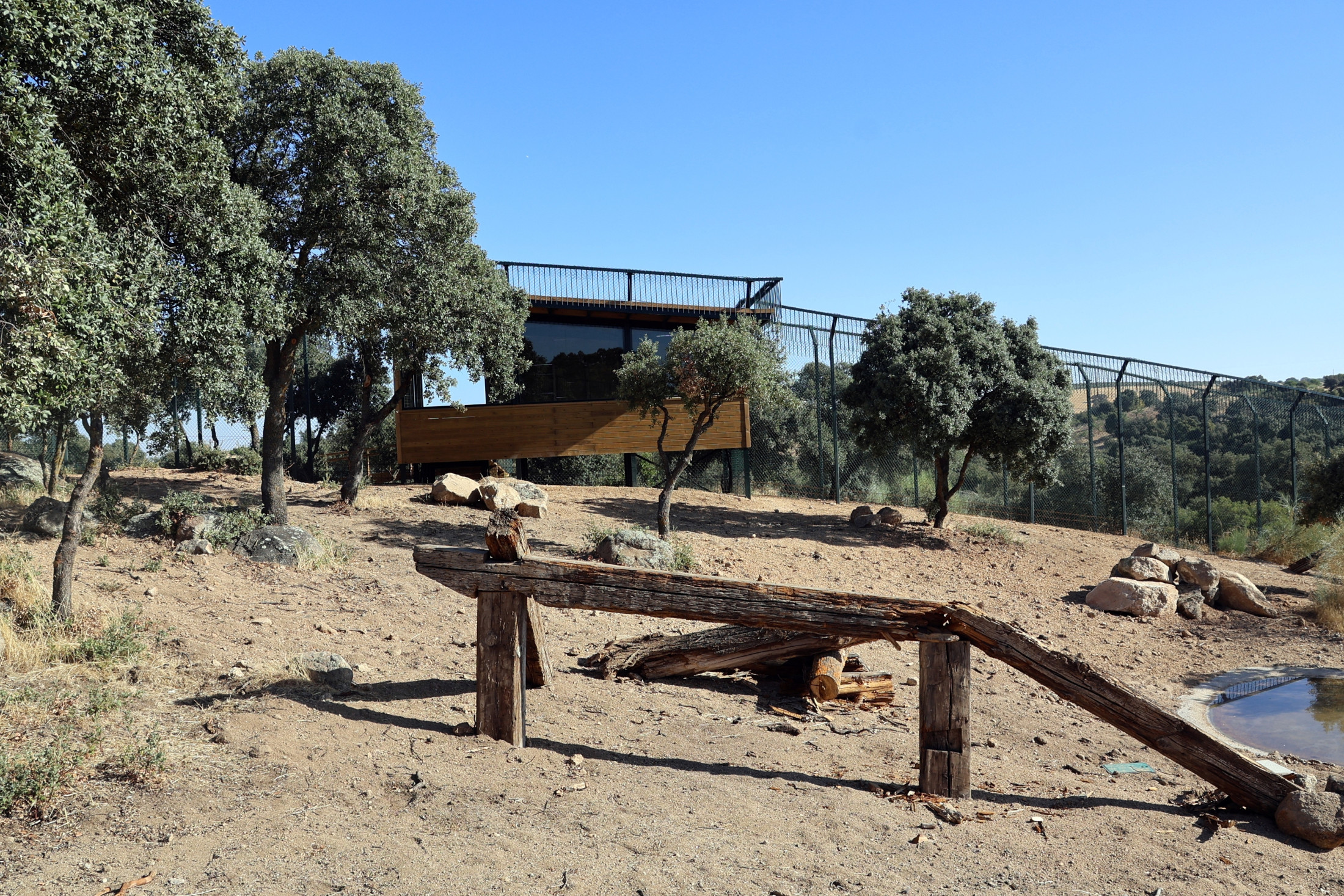10092026 Marina García recepción habitat del lince en El Borril 6