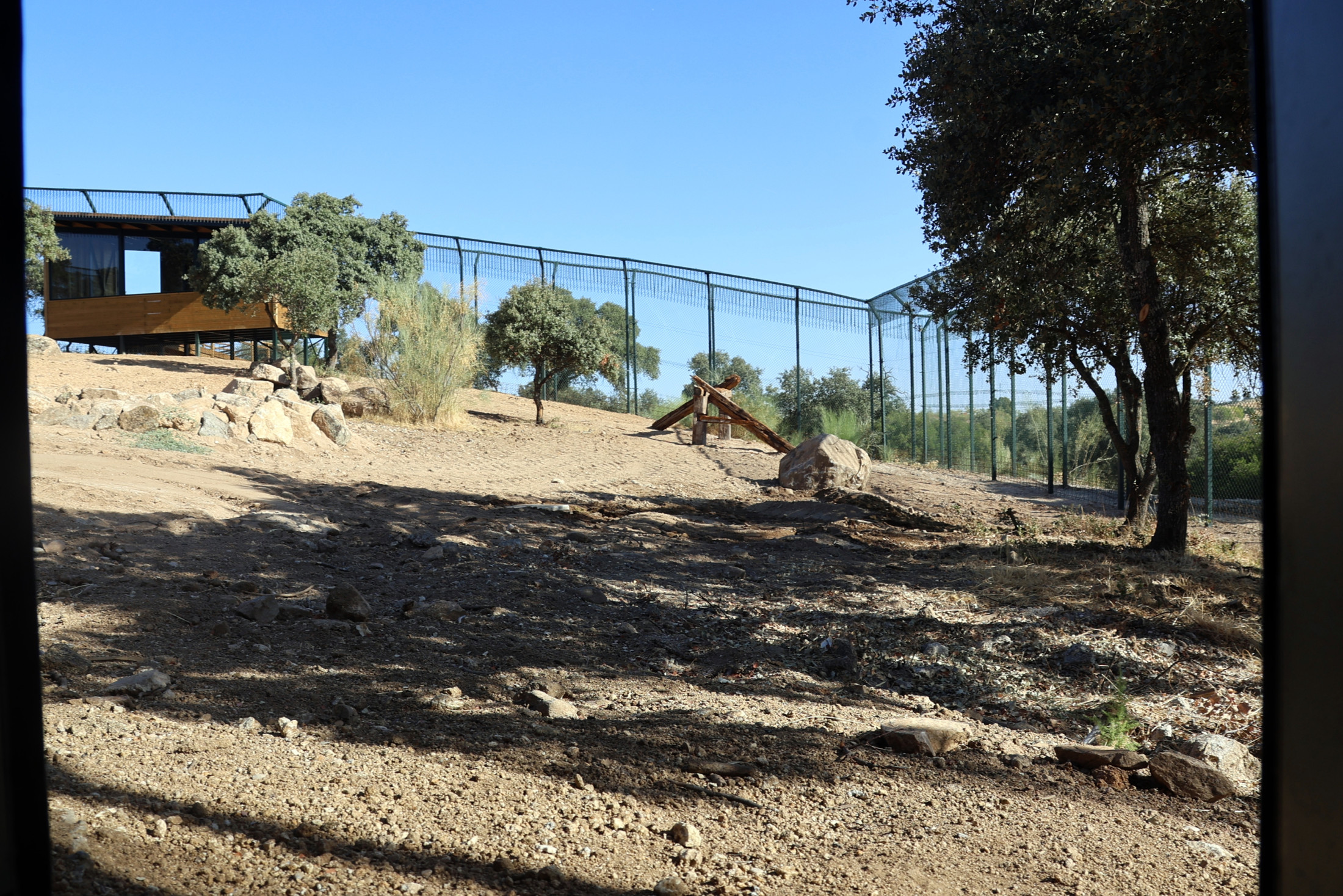 10092026 Marina García recepción habitat del lince en El Borril 9