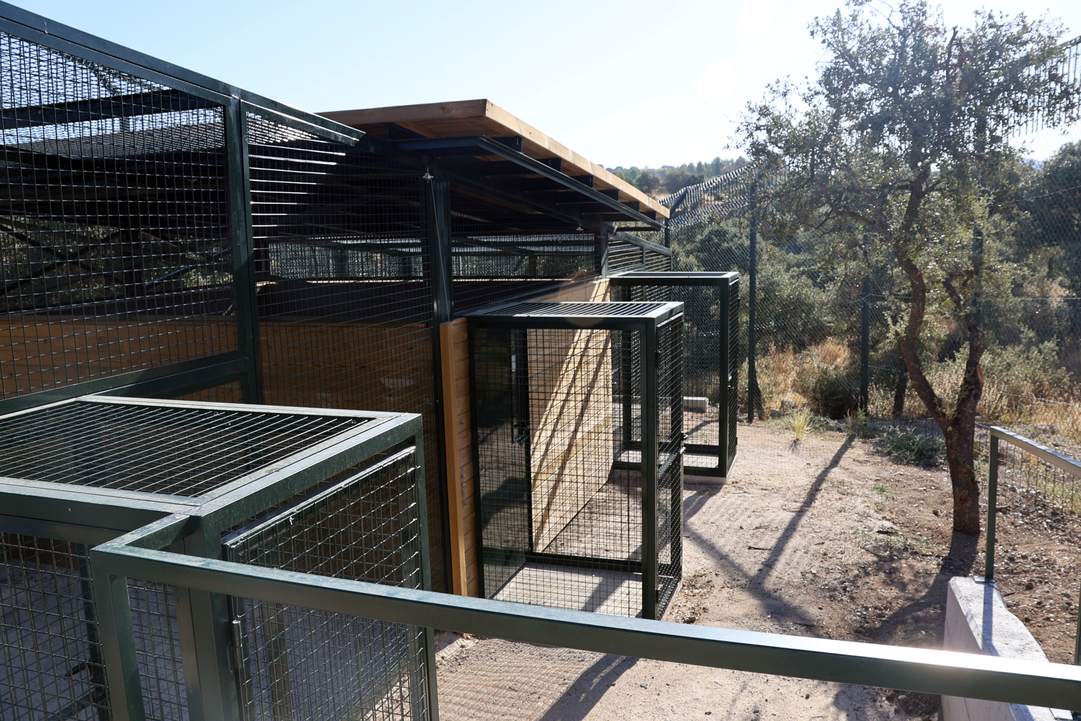 10092026 Marina García recepción habitat del lince en El Borril 3