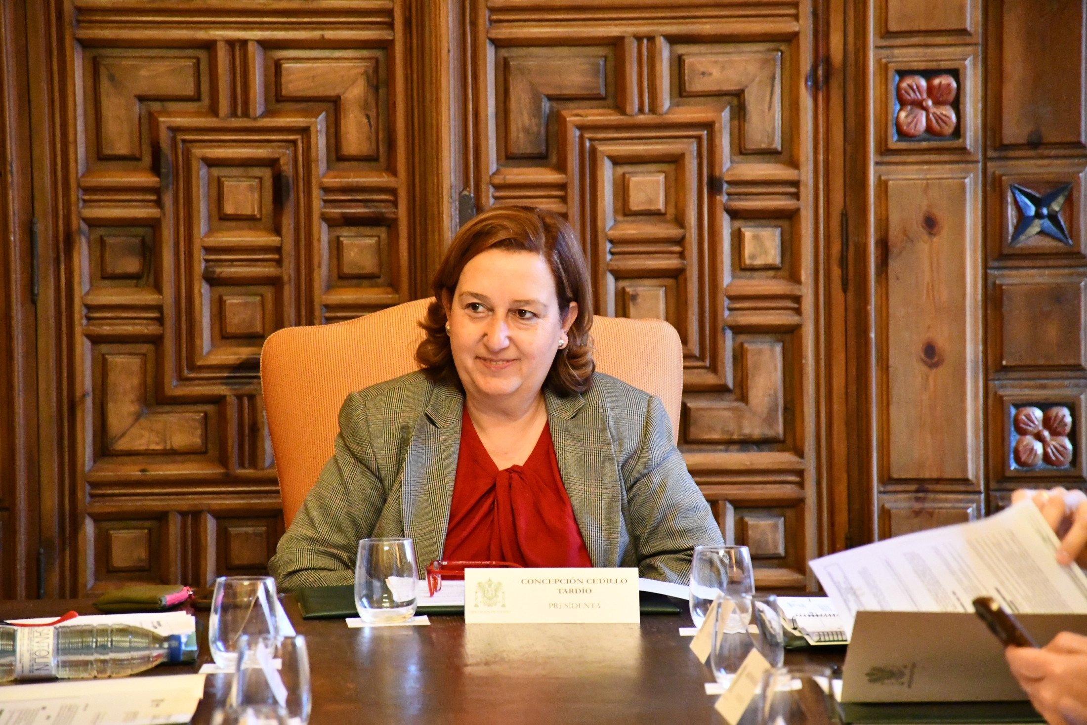 Concepción Cedillo