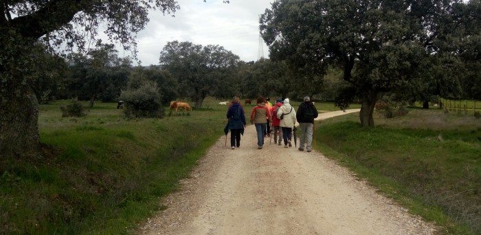 Imagen de Paseo natural en Garciotum