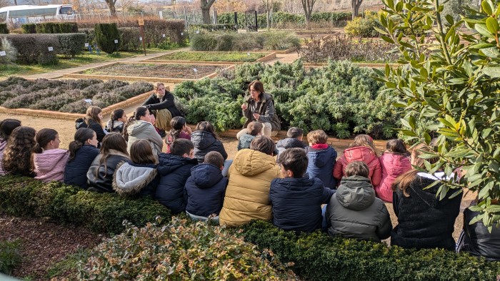 Vivero Taxus 2