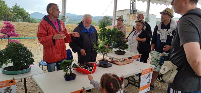 Imagen de 08062024 Jornada de Puertas Abiertas de El Borril (4)