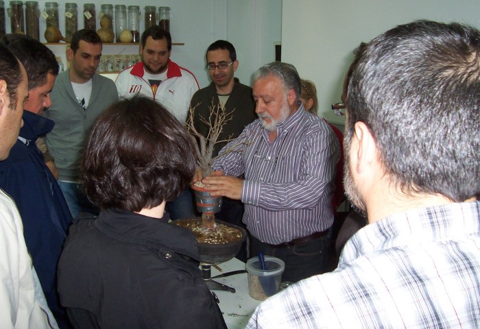 Alumnos y alumnas asisten a un curso sobe Bonsai en Toledo