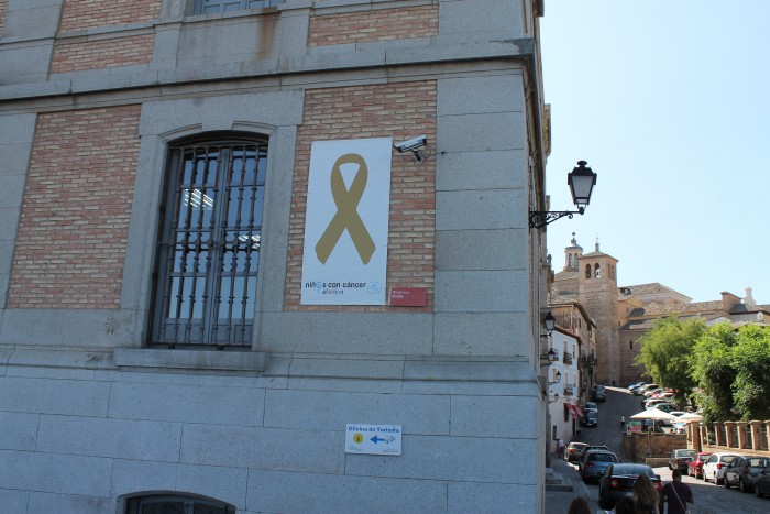 Imagen de El lazo dorado de AFANION luce en la fachada de la Diputación en el Mirador de la Granja