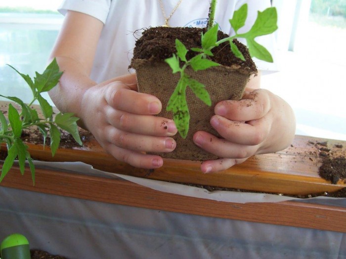 Imagen de Niños manipulando plantas (Archivo)