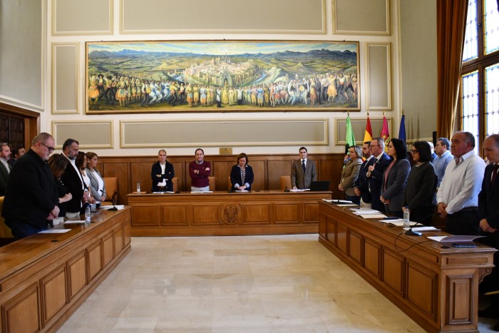 Imagen de Pleno Diputación