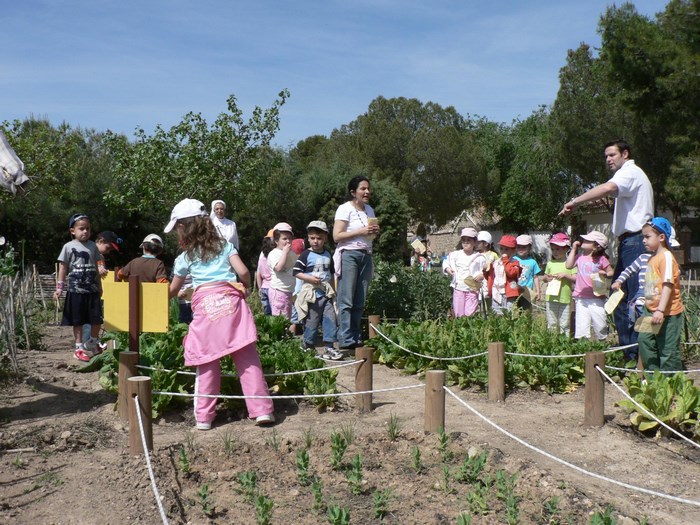 Imagen de Niños en El Borril