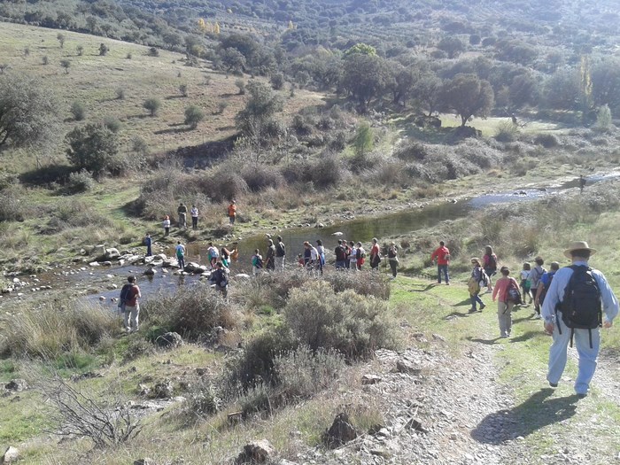 Imagen de Paseos naturales