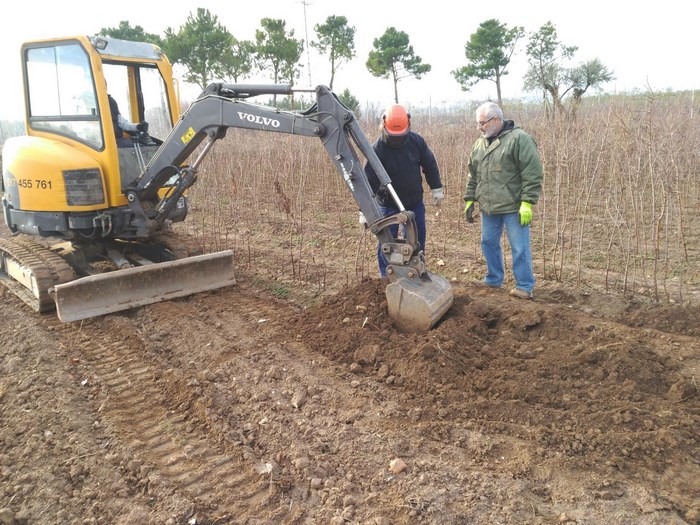 Imagen de Donación de plantas