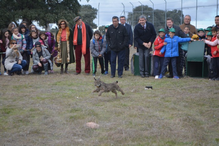 Álvaro Gutiérrez junto a los participantes en la liberación del lince ibérico en Mazarambroz