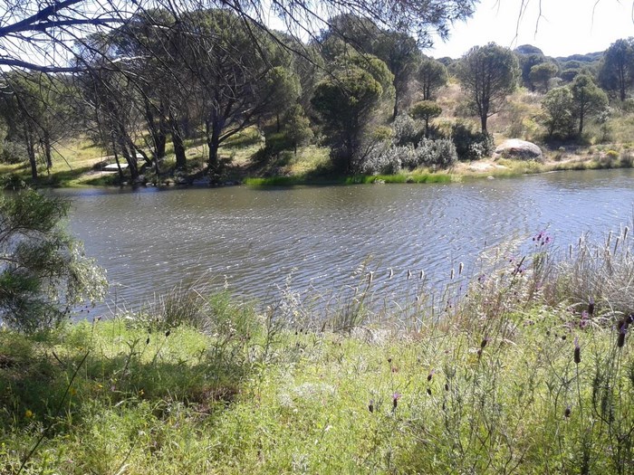 Imagen de Lago de El Borril