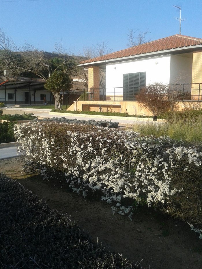 Imagen de Vivero Taxus