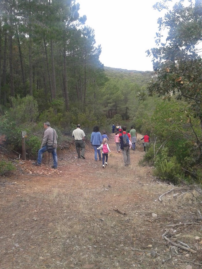 Imagen de Paseos Belvís de la Jara