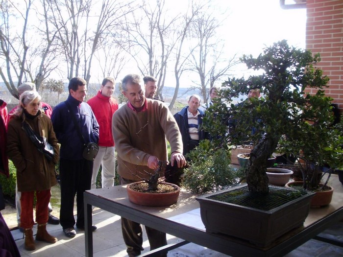 Imagen de Foto de archivo de uno de los talleres de bonsáis