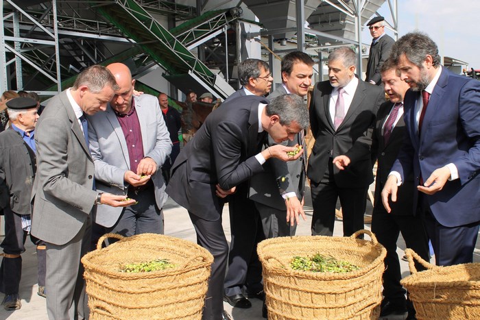 Imagen de Álvaro Gutiérrez comprueba el aroma de las aceitunas utilizadas por Aceites García de la Cruz