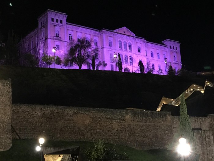 Imagen de Fachada iluminada de morado