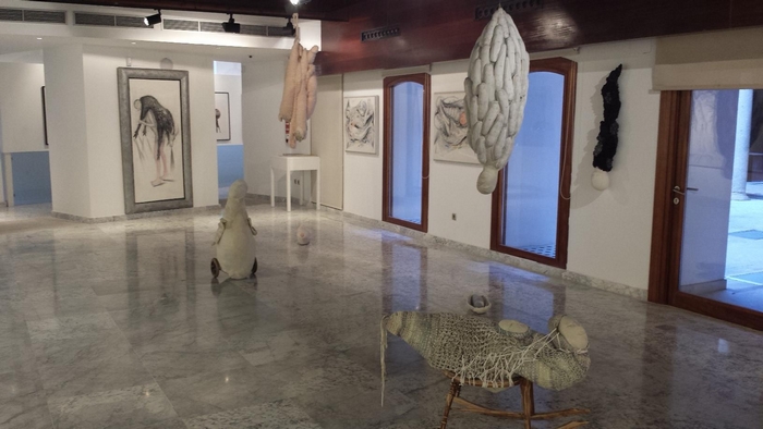 Sala de Exposiciones