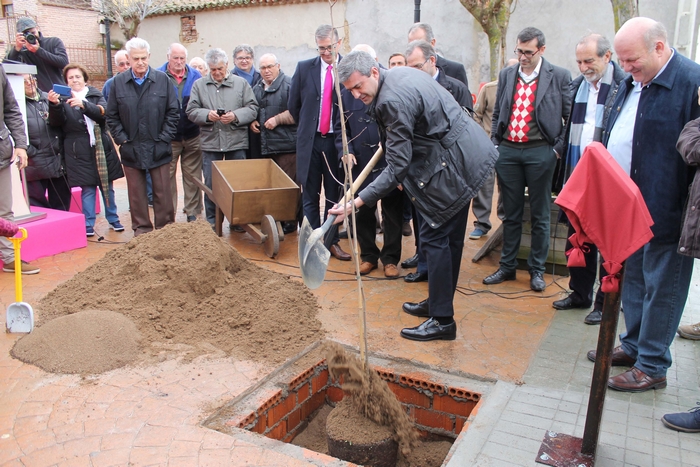 Imagen de Álvaro Gutiérrez plantando un olmo en Cardiel de los Montes