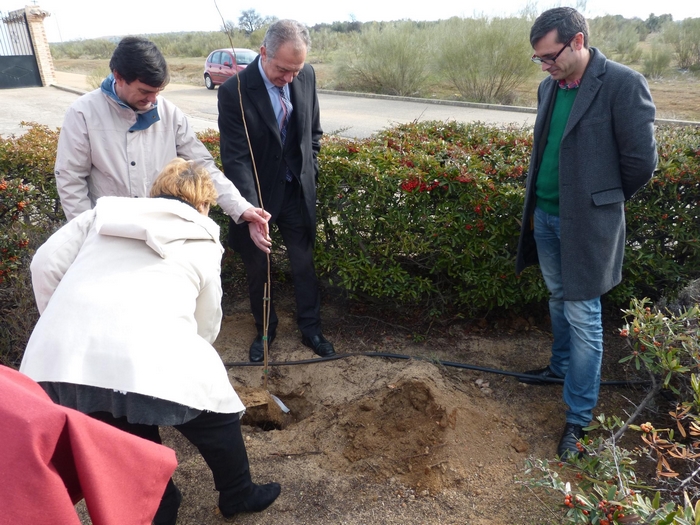 Imagen de Plantación del olmo en Layos