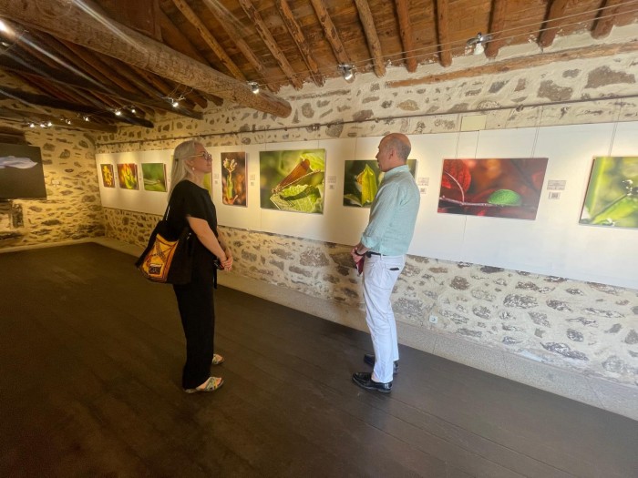 Imagen de 13062025 Inauguración exposición “Pequeños paisajes”  1