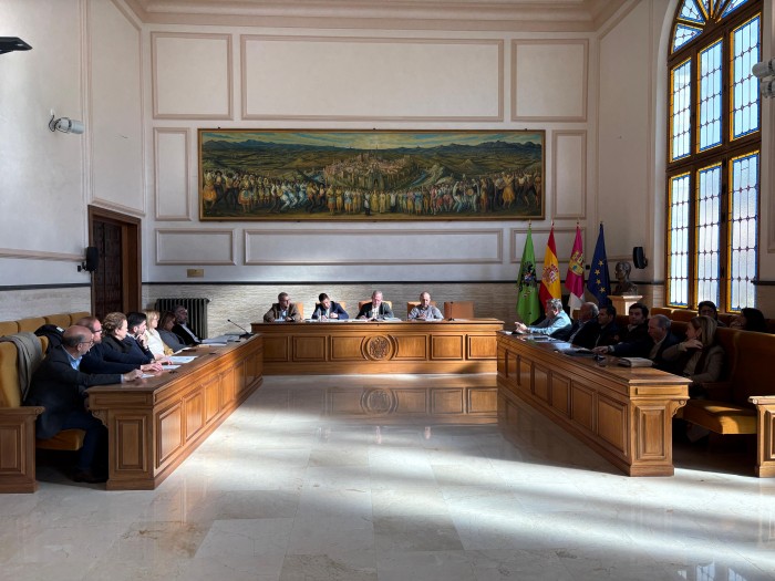 Imagen de Pleno del CPEIS