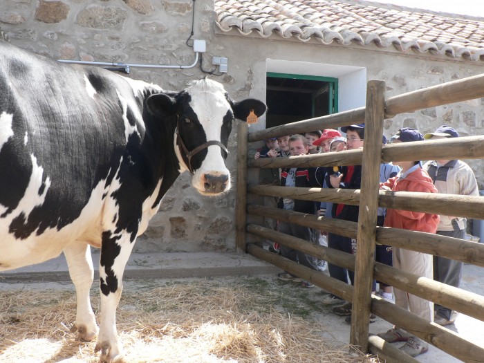 Imagen de La granja de El Borril