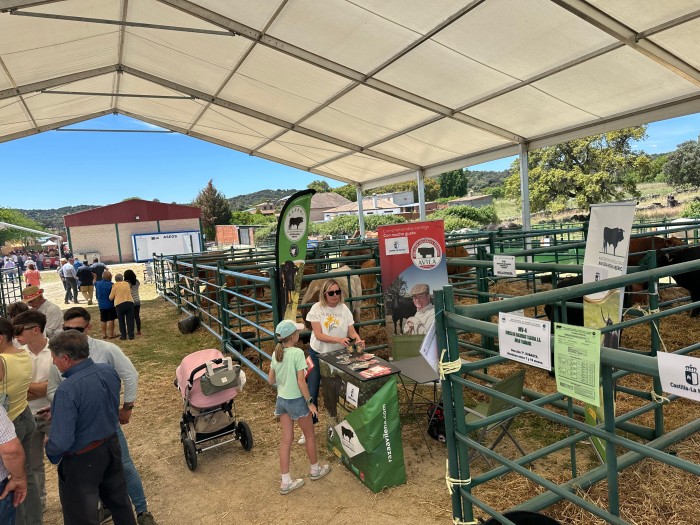 Imagen de 24052025 Feria Ganadera de Segurilla 8