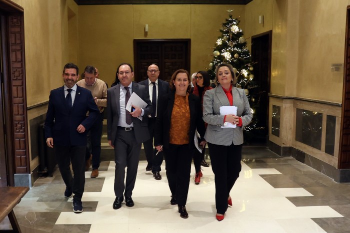 Imagen de  Camino del pleno