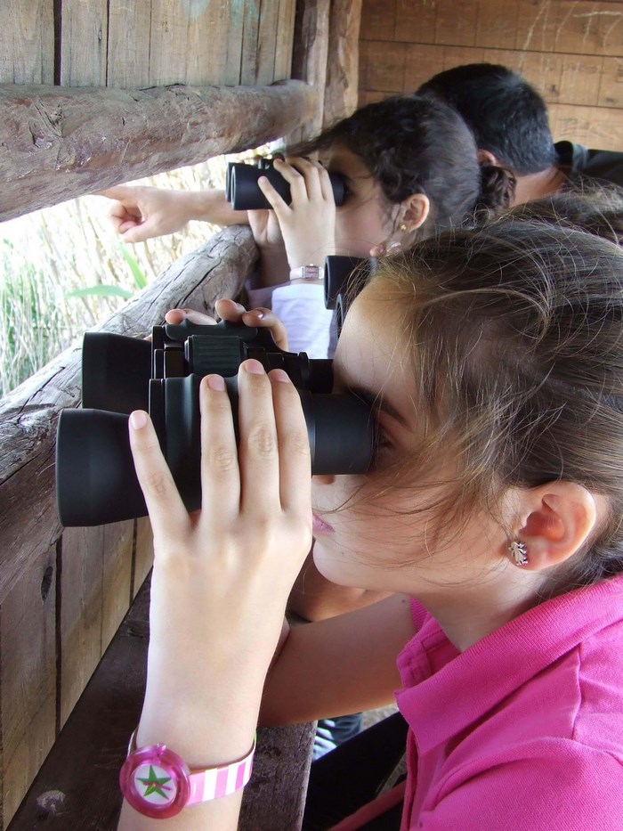 Imagen de Curso de Ornitología