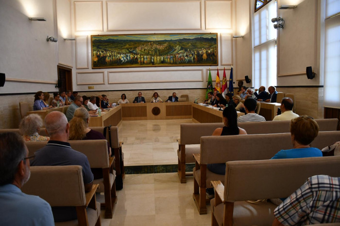 Pleno de la Diputación de Toledo