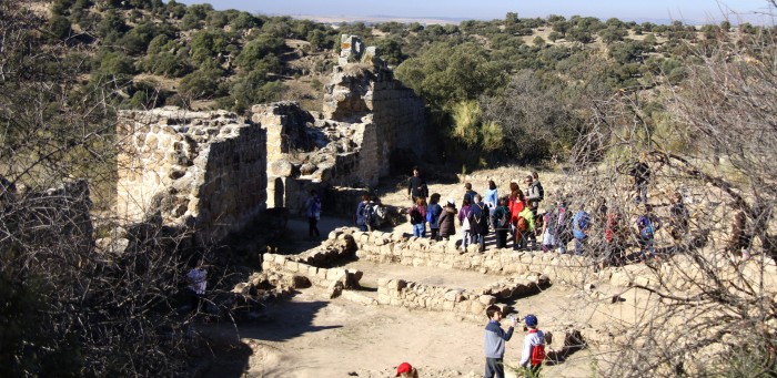 Imagen de Paseo natural en Ciudad de Vascos