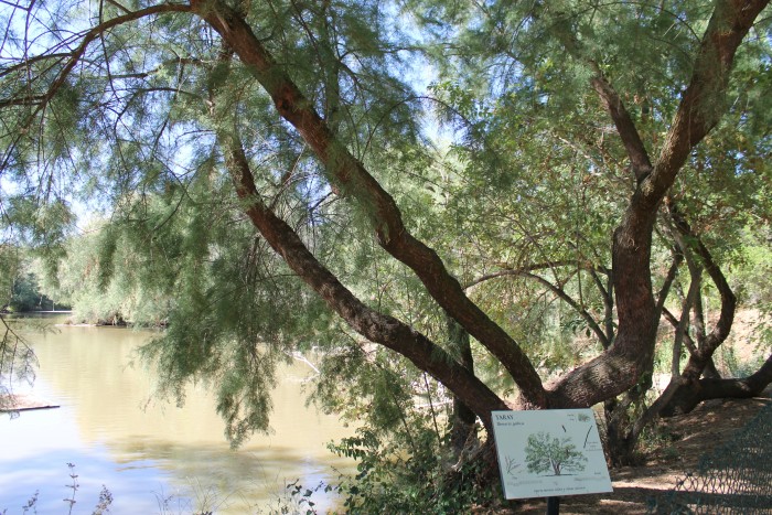 Foto archivo del aula de la naturaleza del Borril