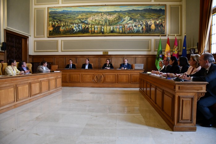 Pleno de la Diputación de Toledo