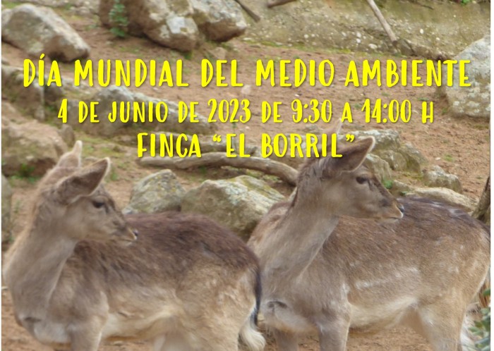 Dia Mundial del Medio Ambiente en 