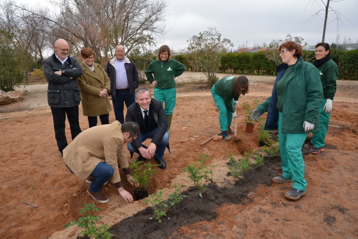 Imagen de Fernando Muñoz colaboró en la plantación de rosales en Madridejos