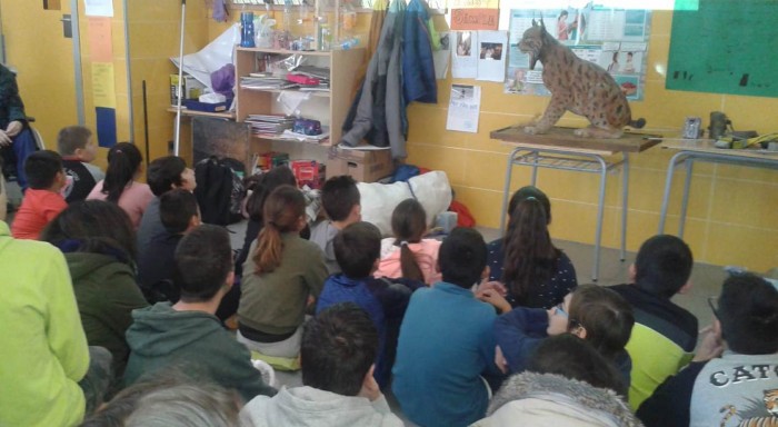 Imagen de 	El lince en el cole, en el CEIP Bartolomeu Nicolau, de Talavera de la Reina