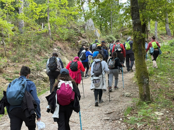 Una imagen del Camino de Santiago