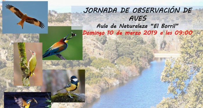 Imagen de 	Cartel anunciador de jornada de observación de aves en El Borril