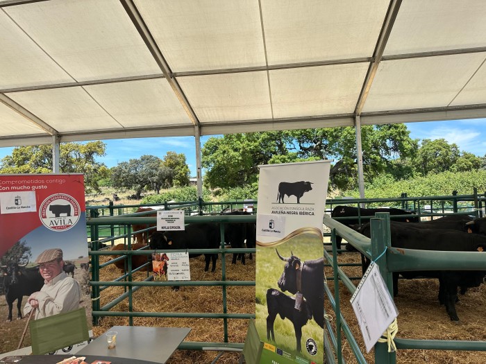 Imagen de 24052025 Feria Ganadera de Segurilla 2