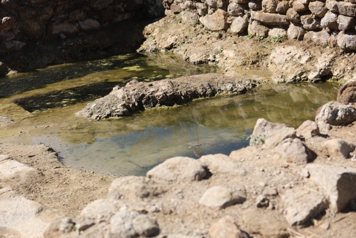 Imagen de 23092025 Romera visita el yacimiento de Guarrazar 8