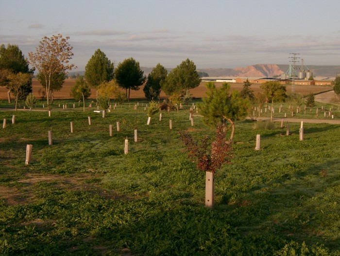 Imagen de Zona reforestacion en Portusa