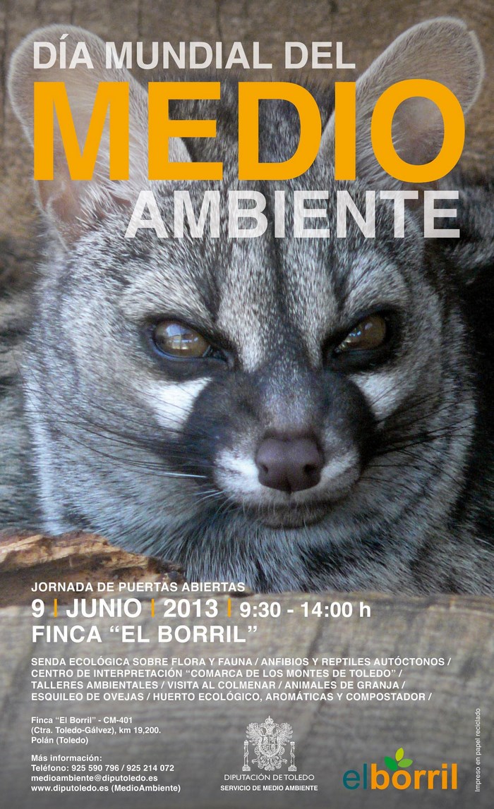 Imagen de 