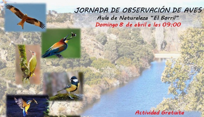 Cartel jornadas observación de aves