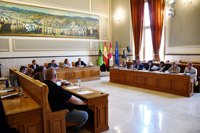 Pleno de la Diputación de Toledo